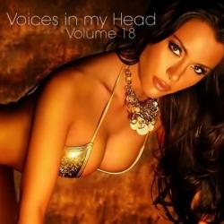 VA - Voices in my Head Volume 18