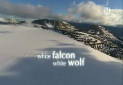  .  .   / The Natural World. White Falcon. White Wolf VO