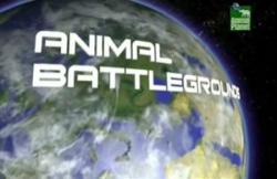 BBC:    (13   13) / Animal Battlegrounds