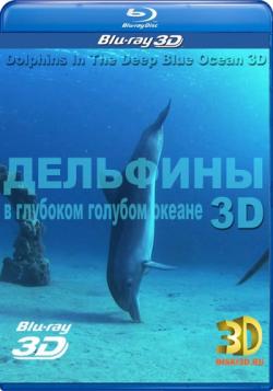      3D / Dolphins in the Deep Blue Ocean 3D Relax