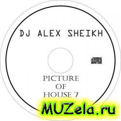ALEX SHEIKH - Picture Of House SEVEN