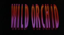   / Wild Orchid DUB+2xMVO+2xAVO