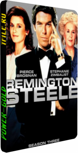  , 3  1-22   22 / Remington Steele []