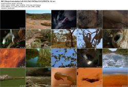 BBC:   / BBC: Wild Australasia