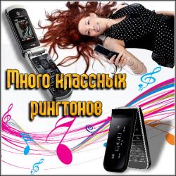    2010/MP3