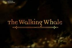  :   / Evolutions: The Walking Whale