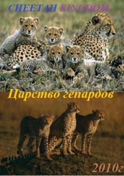   / Cheetah Kingdom VO