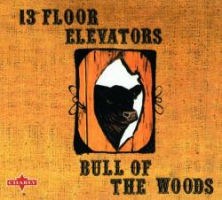 13th Floor Elevators - Bull Of The Woods (2004)