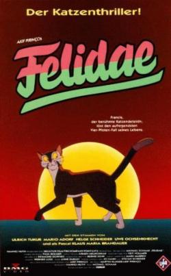   - / Felidae