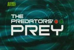   (1-13   13) / BBC. The Predator's Prey VO
