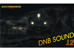 VA - DNB Sound vol.12