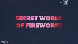  .   (9 ) / Science Exposed. Sekret world of fireworks DVO