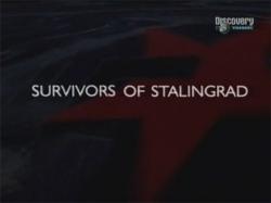 Discovery.    [3   3] / Survivors of Stalingrad VO