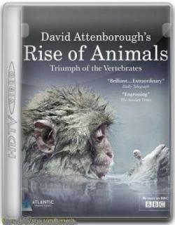 .   (1-2   2) / BBC. Rise of Animals: Triumph of the Vertebrates VO