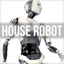 VA - House Robot