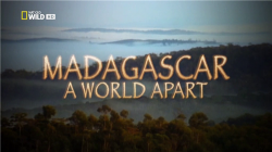 .   / NAT GEO WILD. Madagascar. A World Apart DUB