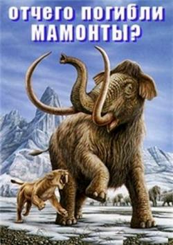   ? / What Killed The Mammoths?