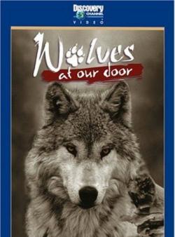    / Wolves at our doors