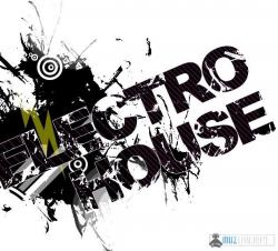 VA - The Best Electro House Music Vol 10