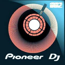 VA - Pioneer DJ Vol. 02