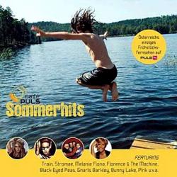 VA - Cafe Puls Sommerhits