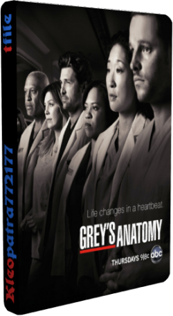  , 10  1-24   24 / Grey's Anatomy [Fox Life]