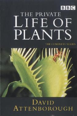 BBC:    / BBC: The Private Life of Plants