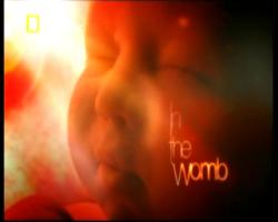    (2 ) .   -. / In the womb