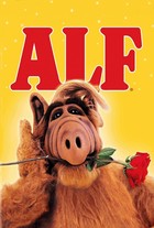  (3 ) (26   26) / Alf