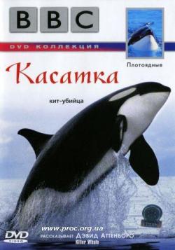 BBC:  / BBC: Killer Whale / 2003 / DVDRip