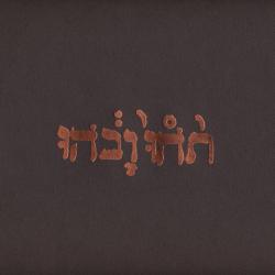 Godspeed You! Black Emperor Slow riot for new zero kanada (1998)