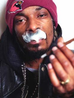 Snoop Doogs - West Fest