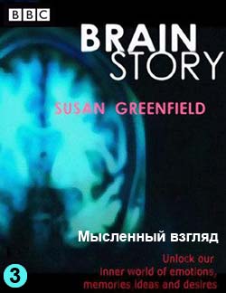 BBC:  .   / BBC: Brain Story ( 3)