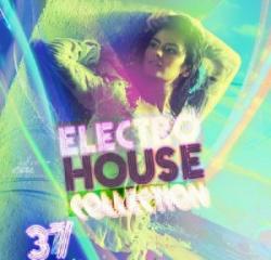 Electro house collection 37