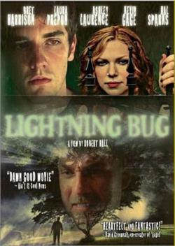  / Lightning Bug