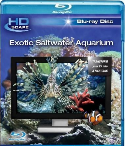   / Exotic Saltwater Aquarium