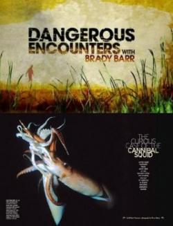  .- / Dangerous Encounters:Cannibal Squid