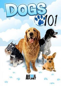    ( 1  1-8) / Dogs 101 (part 1 series 1-8) VO