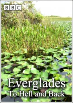 BBC:  . .     / BBC: The Natural World. Everglades. To Hell and Back VO