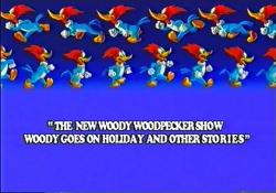   / The New Woody Woodpecker Show (1 , 6   24) MVO