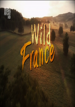  / Wild France (10   10) VO