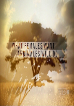  ,      / What Females Want and Males Will Do (2   2) DVO
