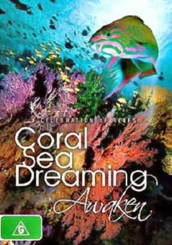   .  / Coral Sea Dreaming. Awaken