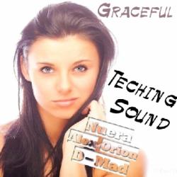 VA - Graceful Teching Sound