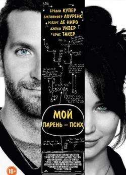    / Silver Linings Playbook DUB+2xMVO