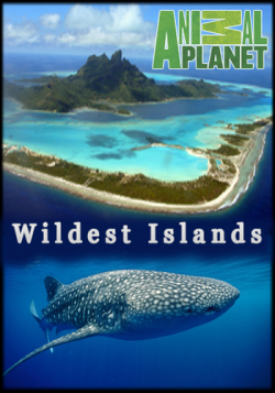 Animal Planet:   (7   7) / Animal Planet:Wildest Islands VO
