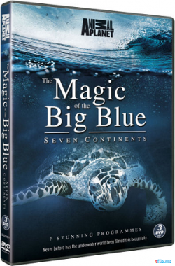   .   / The Magic Of The Big Blue. Seven Continents VO