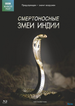 BBC:  .    / BBC: The Natural World. One Million Snake Bites DVO