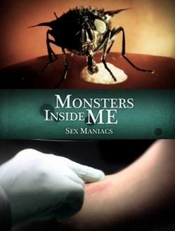 Animal Planet:   :   / Animal Planet: Monsters Inside Me: Sex Maniacs VO