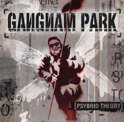 Gangnam Park - Psybrid Theory